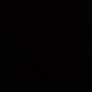 Meet your Posher, Paul